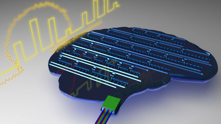 A computer memory chip in the shape of a human brain