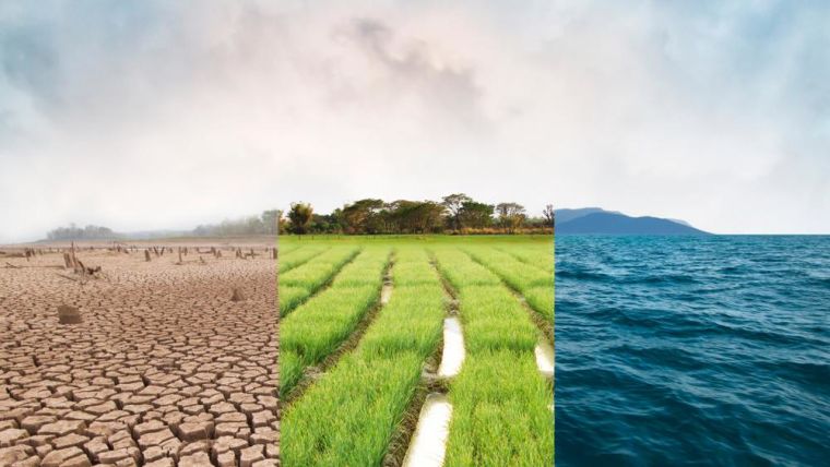 Composite image showing heat and drought, normal farming land and rising sea levels.