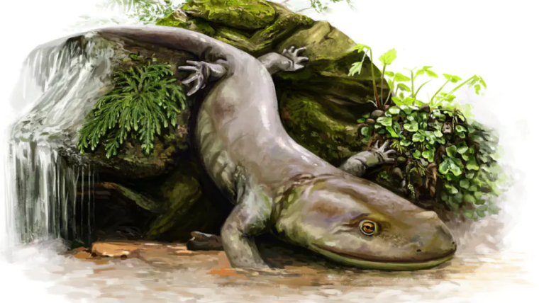 Painting of an ancient salamander Marmorerpeton, by Brennan Stokkermans (author provided)