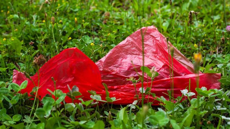 A plastic bag in a field of flowers