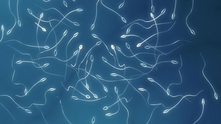 Artist's impression of sperm