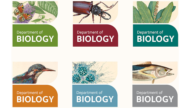 Department of Biology logo