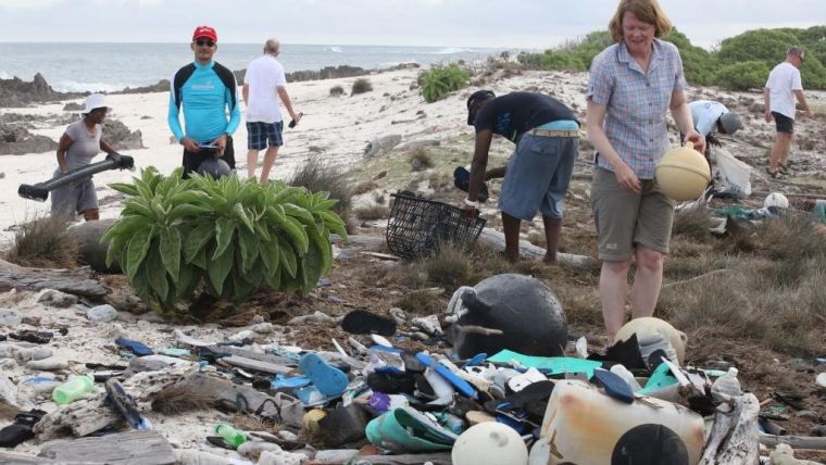 Volunteers cleaning up the Aldabra beach. Photo credit: Seychelles Islands Foundation