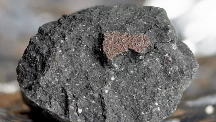 A fragment of the Winchcombe Meteorite