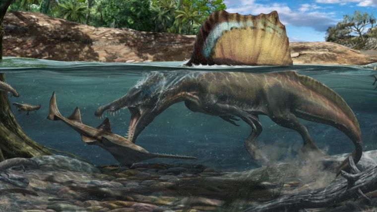 Artist's impression of the Spinosaurus hunting underwater