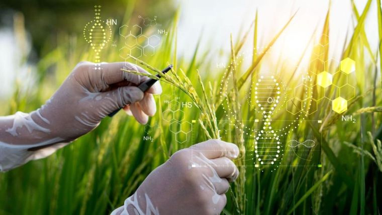 Composite graphic showing a photo of somebody's hands in protective white globes taking samples of grass from a grassy field with a tree in the background, and data symbols superimposed