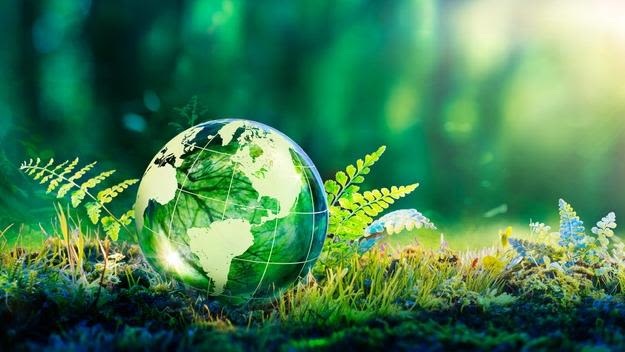 Graphic of a fragile Earth in grass and ferns