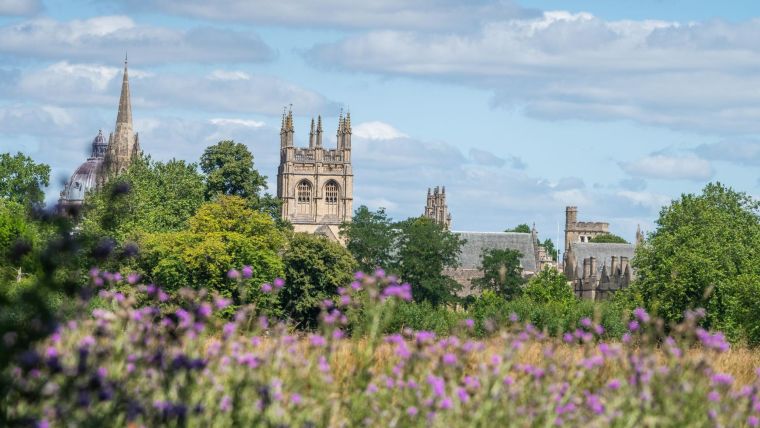 A view of Oxford colleges with trees and meadow flowers