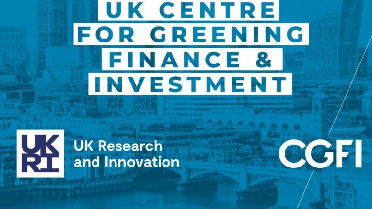 Screenshot form the website of the new UK Centre for Greening Finance and Investment
