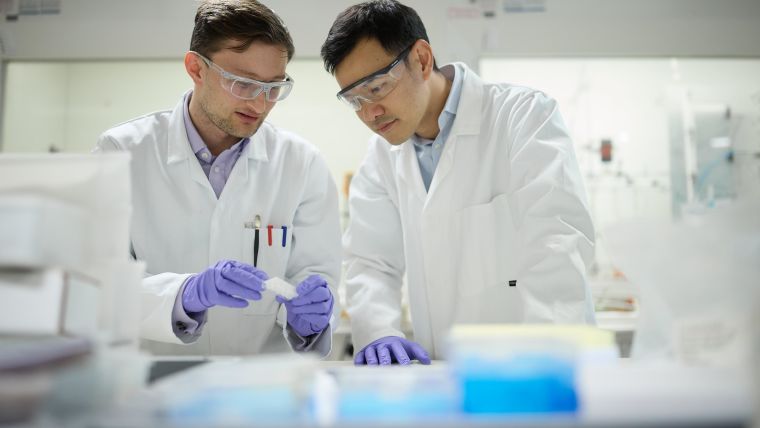 Two chemistry researchers working together in a lab